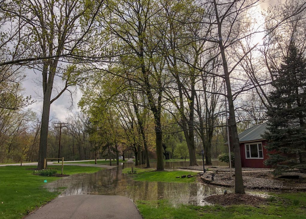 Pedestrian trail, flooded. Trees in background.